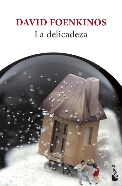 DELICADEZA, LA | 9788432240898 | FOENKINOS, DAVID | Llibreria L'Illa - Llibreria Online de Mollet - Comprar llibres online
