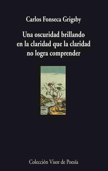 OSCURIDAD BRILLANDO EN LA CLARIDAD QUE LA CLARIDAD NO LOGRA | 9788475226811 | FONSECA GRIGSBY, CARLOS | Llibreria L'Illa - Llibreria Online de Mollet - Comprar llibres online