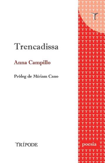 TRENCADISSA | 9788412501254 | CAMPILLO, ANNA | Llibreria L'Illa - Llibreria Online de Mollet - Comprar llibres online