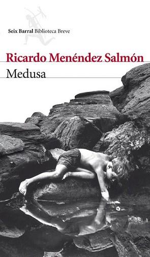 MEDUSA | 9788432210068 | MENENDEZ SALMON, RICARDO | Llibreria L'Illa - Llibreria Online de Mollet - Comprar llibres online