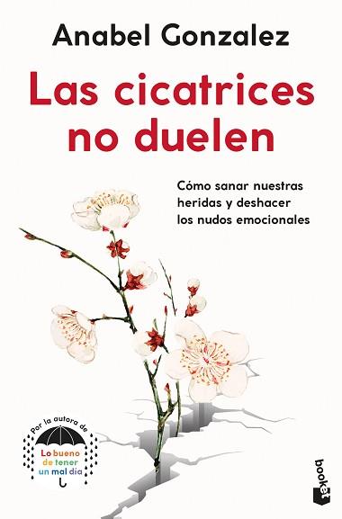 CICATRICES NO DUELEN, LAS | 9788408262343 | GONZALEZ, ANABEL | Llibreria L'Illa - Llibreria Online de Mollet - Comprar llibres online