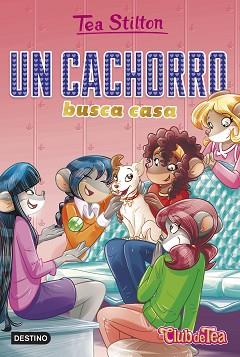 CACHORRO BUSCA CASA, UN | 9788408231226 | STILTON, TEA | Llibreria L'Illa - Llibreria Online de Mollet - Comprar llibres online