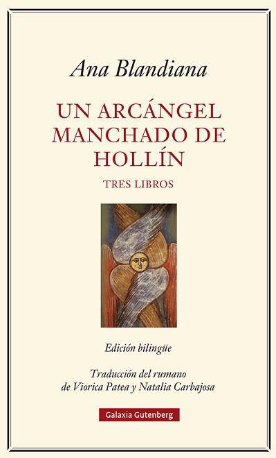 ARCÁNGEL MANCHADO DE HOLLÍN, UN | 9788417971502 | BLANDIANA, ANA | Llibreria L'Illa - Llibreria Online de Mollet - Comprar llibres online