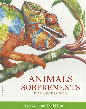 ANIMALS SORPRENENTS | 9788426138712 | DAVID SCOTT, PETER | Llibreria L'Illa - Llibreria Online de Mollet - Comprar llibres online