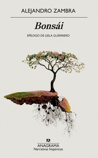 BONSAI | 9788433999559 | ZAMBRA, ALEJANDRO | Llibreria L'Illa - Llibreria Online de Mollet - Comprar llibres online