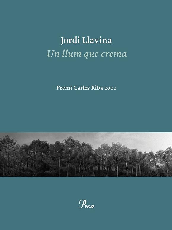 LLUM QUE CREMA, UN | 9788475889979 | LLAVINA, JORDI