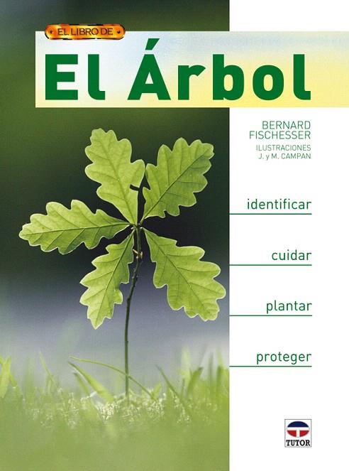 EL ARBOL 1ª ED | 9788479027834 | FISCHESSER BERNARD