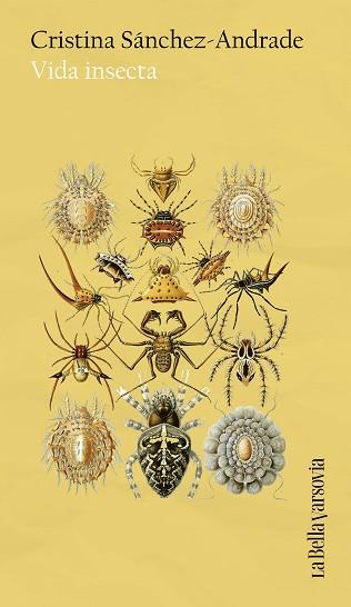 VIDA INSECTA | 9788433949653 | SÁNCHEZ-ANDRADE, CRISTINA | Llibreria L'Illa - Llibreria Online de Mollet - Comprar llibres online