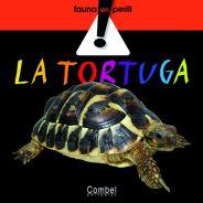 TORTUGA, LA | 9788498253764 | VV.AA | Llibreria L'Illa - Llibreria Online de Mollet - Comprar llibres online