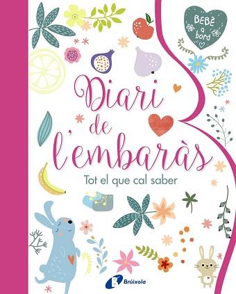 DIARI DE L ' EMBARÀS. TOT EL QUE CAL SABER | 9788499067797 | VV.AA.