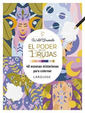 PODER DE LAS BRUJAS, EL | 9791387520267 | AMANDA, WILD | Llibreria L'Illa - Llibreria Online de Mollet - Comprar llibres online