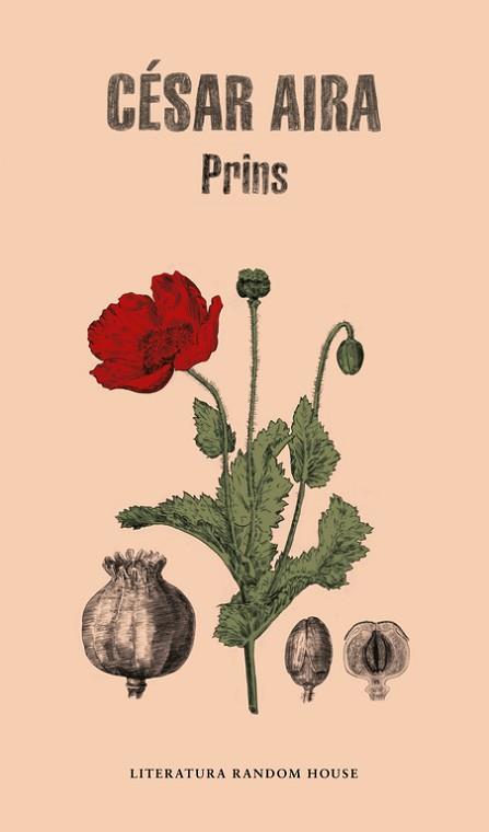 PRINS | 9788439734352 | AIRA, CESAR | Llibreria L'Illa - Llibreria Online de Mollet - Comprar llibres online