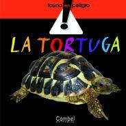 TORTUGA, LA | 9788498253771 | VARIOS AUTORES | Llibreria L'Illa - Llibreria Online de Mollet - Comprar llibres online