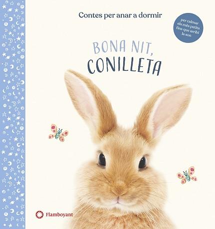 BONA NIT CONILLETA | 9788417749613 | WOOD, AMANDA | Llibreria L'Illa - Llibreria Online de Mollet - Comprar llibres online