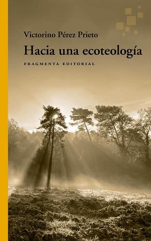 HACIA UNA ECOTEOLOGÍA | 9788417796815 | PÉREZ PRIETO, VICTORINO | Llibreria L'Illa - Llibreria Online de Mollet - Comprar llibres online