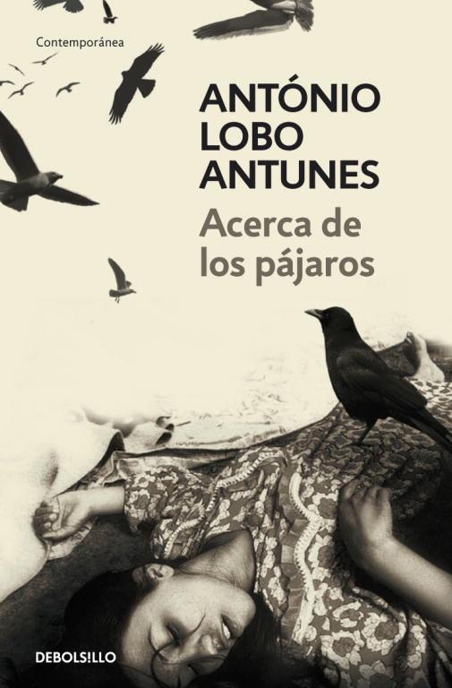 ACERCA DE LOS PAJAROS | 9788483469163 | BANQUERI FORN-SANDÓ, EDUARDO | Llibreria L'Illa - Llibreria Online de Mollet - Comprar llibres online