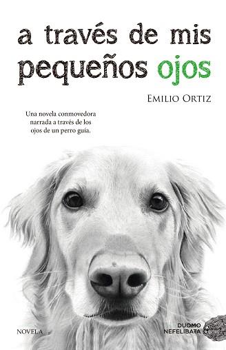 A TRAVÉS DE MIS PEQUEÑOS OJOS | 9788416634682 | ORTIZ, EMILIO