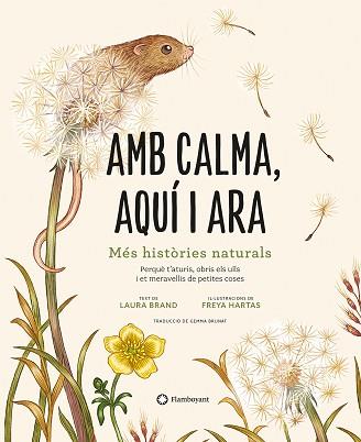 AMB CALMA AQUÍ I ARA | 9788419401120 | BRAND, LAURA | Llibreria L'Illa - Llibreria Online de Mollet - Comprar llibres online