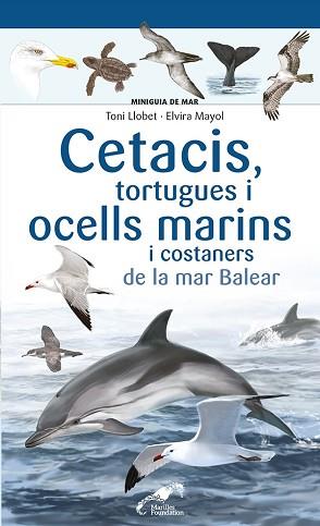 CETACIS TORTUGUES I OCELLS MARINS I COSTANERS DE LA MAR BALEAR | 9788413562735 | MAYOL, ELVIRA