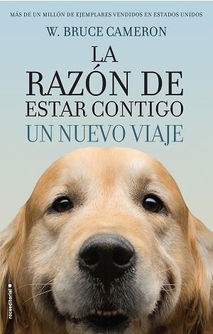 RAZÓN DE ESTAR CONTIGO, LA | 9788416867912 | CAMERON, W. BRUCE | Llibreria L'Illa - Llibreria Online de Mollet - Comprar llibres online