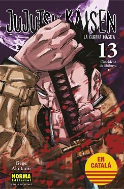 JUJUTSU KAISEN 13 CATALA | 9788467957679 | AKUTAMI, GEGE | Llibreria L'Illa - Llibreria Online de Mollet - Comprar llibres online