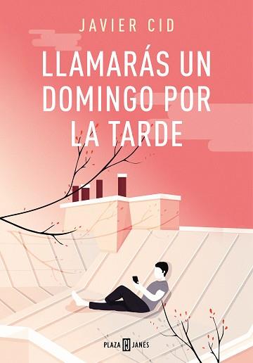 LLAMARÁS UN DOMINGO POR LA TARDE | 9788401019975 | CID, JAVIER | Llibreria L'Illa - Llibreria Online de Mollet - Comprar llibres online