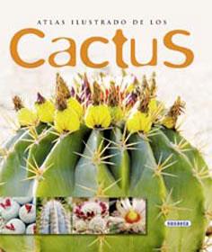 CACTUS ATLAS ILUSTRADOS | 9788430560530 | SUSAETA, EQUIPO | Llibreria L'Illa - Llibreria Online de Mollet - Comprar llibres online