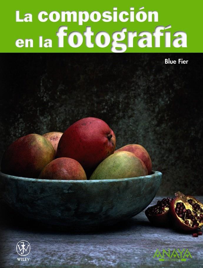 COMPOSICION EN LA FOTOGRAFIA, LA | 9788441526983 | FIER, BLUE | Llibreria L'Illa - Llibreria Online de Mollet - Comprar llibres online