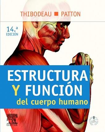 ESTRUCTURA Y FUNCIÓN DEL CUERPO HUMANO + STUDENTCONSULT EN ESPAÑOL | 9788480869621 | THIBODEAU | Llibreria L'Illa - Llibreria Online de Mollet - Comprar llibres online