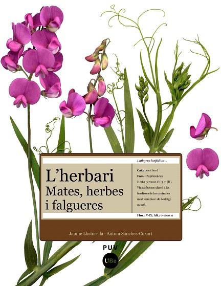HERBARI, L´ -MATES HERBES I FALGUERES- | 9788447531905 | LLISTOSELLA, JAUME/SÀNCHEZ-CUX