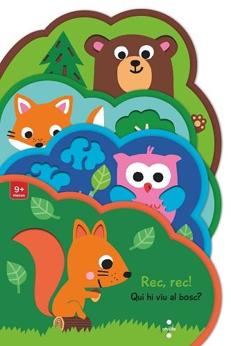 REC REC! QUI HI VIU, AL BOSC? | 9788466153713 | KAWAMURA, YAYO | Llibreria L'Illa - Llibreria Online de Mollet - Comprar llibres online