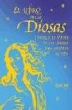 LIBRO DE LAS DIOSAS, EL | 9788441413634 | JAY, RONI