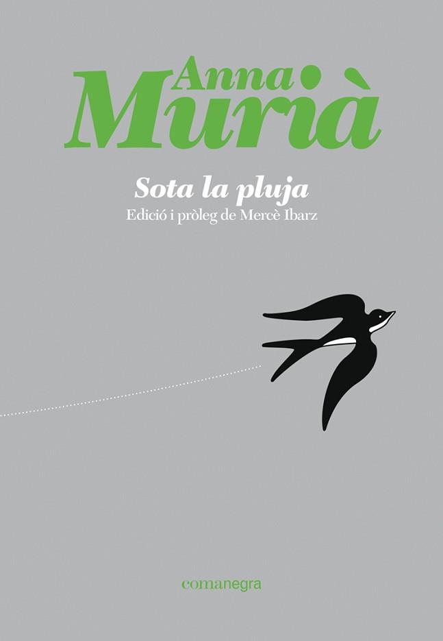 SOTA LA PLUJA | 9788418857430 | MURIA ROMANI, ANNA | Llibreria L'Illa - Llibreria Online de Mollet - Comprar llibres online