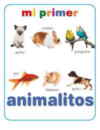 MI PRIMER LIBRO DE ANIMALITOS | 9788427293083 | VV.AA | Llibreria L'Illa - Llibreria Online de Mollet - Comprar llibres online