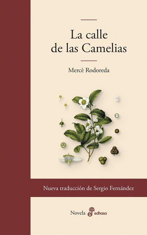 CALLE DE LAS CAMELIAS, LA | 9788435011860 | RODOREDA, MERCÈ | Llibreria L'Illa - Llibreria Online de Mollet - Comprar llibres online