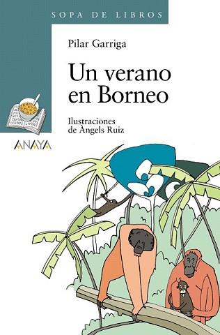 UN VERANO EN BORNEO | 9788466784283 | GARRIGA, PILAR | Llibreria L'Illa - Llibreria Online de Mollet - Comprar llibres online