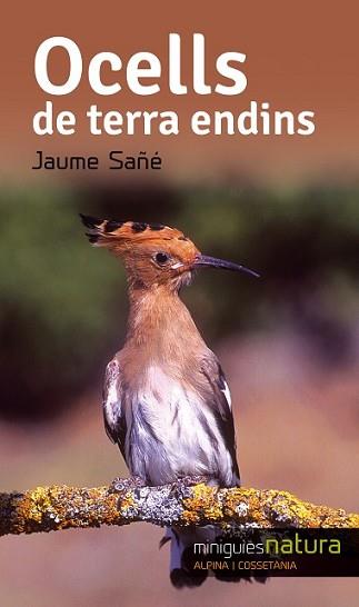 OCELLS TERRA ENDINS | 9788490343357 | SAÑÉ, JAUME | Llibreria L'Illa - Llibreria Online de Mollet - Comprar llibres online