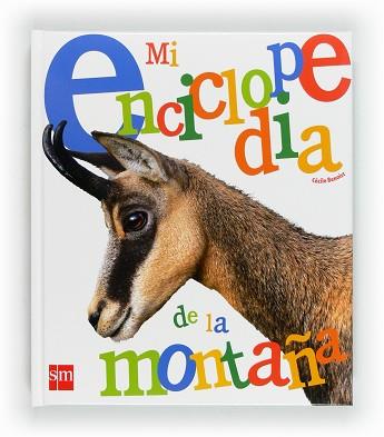 MI ENCICLOPEDIA DE LA MONTAÑA | 9788467552324 | BENOIST, CÉCILE | Llibreria L'Illa - Llibreria Online de Mollet - Comprar llibres online