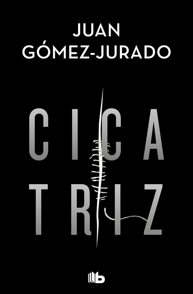 CICATRIZ | 9788413143231 | GÓMEZ-JURADO, JUAN | Llibreria L'Illa - Llibreria Online de Mollet - Comprar llibres online