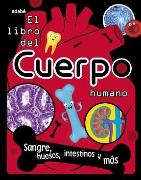 LIBRO DEL CUERPO HUMANO, EL  | 9788468362748 | VARIOS AUTORES | Llibreria L'Illa - Llibreria Online de Mollet - Comprar llibres online