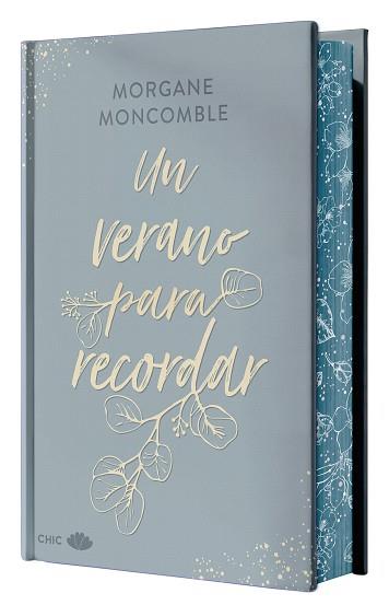 VERANO PARA RECORDAR, UN | 9788419702692 | MONCOMBLE, MORGANE | Llibreria L'Illa - Llibreria Online de Mollet - Comprar llibres online