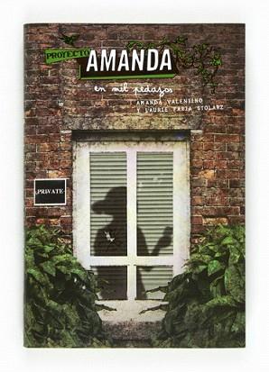 PROYECTO AMANDA EN MIL PEDAZOS | 9788467556230 | FARIA STOLARZ, LAURIE