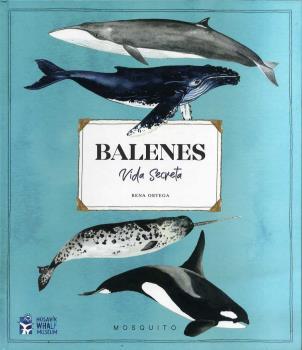 BALENES VIDA SECRETA | 9788412247954 | ORTEGA, RENA | Llibreria L'Illa - Llibreria Online de Mollet - Comprar llibres online