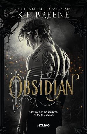 FAE DE LAS SOMBRAS 1 - OBSIDIAN | 9788427257290 | BREENE, K.F. | Llibreria L'Illa - Llibreria Online de Mollet - Comprar llibres online