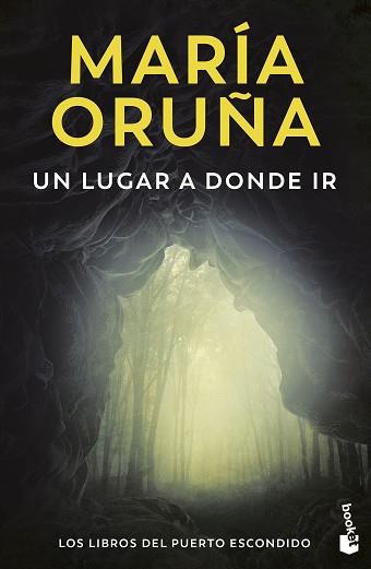 LUGAR A DONDE IR, UN | 9788423366620 | ORUÑA, MARÍA