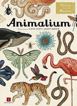 ANIMALIUM | 9788415979463 | SCOTT, KATIE / JENNY BROOM