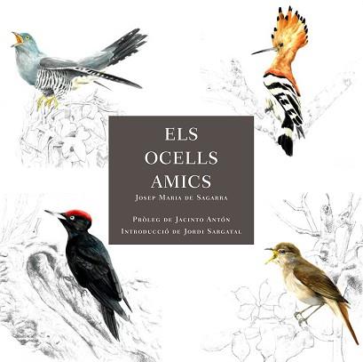 ELS OCELLS AMICS | 9788412949025 | DE SAGARRA, JOSEP MARIA