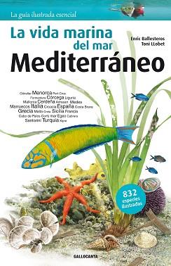 LA VIDA MARINA DEL MAR MEDITERRÁNEO | 9788415885269 | BALLESTEROS SAGARRA, ENRIC | Llibreria L'Illa - Llibreria Online de Mollet - Comprar llibres online