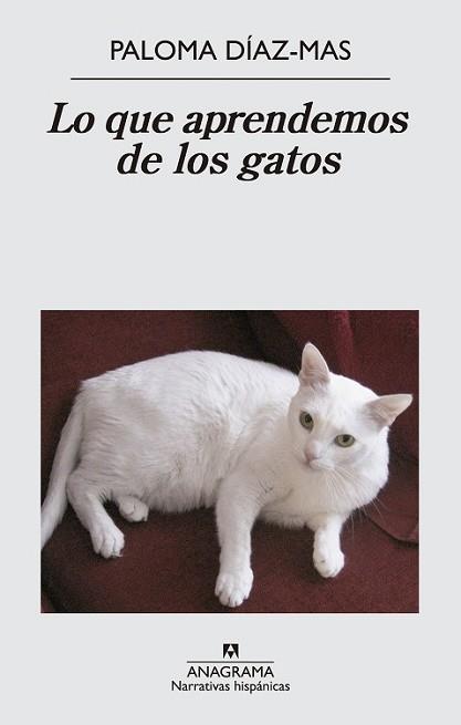 LO QUE APRENDEMOS DE LOS GATOS | 9788433997807 | DÍAZ MAS, PALOMA | Llibreria L'Illa - Llibreria Online de Mollet - Comprar llibres online