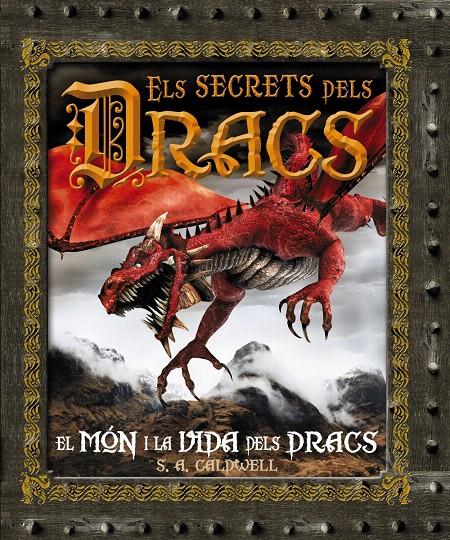 SECRETS DELS DRACS, ELS | 9788480169967